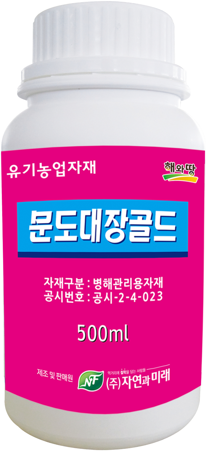 싸자바
